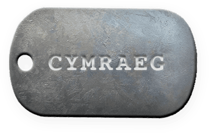 Switch to Welsh